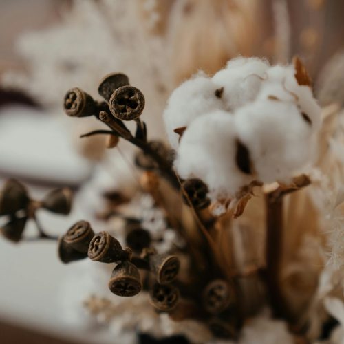 Close-up of a beautiful arrangement featuring cotton buds and dried flowers for a natural decor look.
